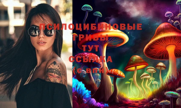 ГАЛЛЮЦИНОГЕННЫЕ ГРИБЫ Абинск