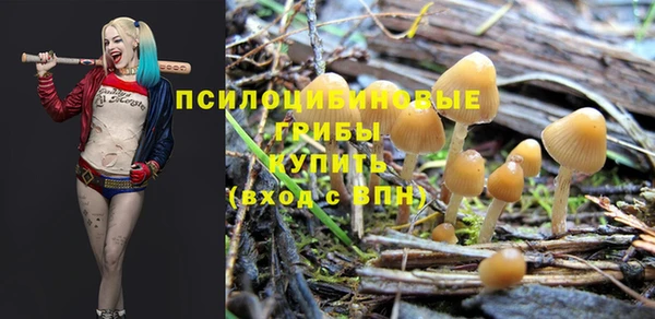 jwh Алексеевка