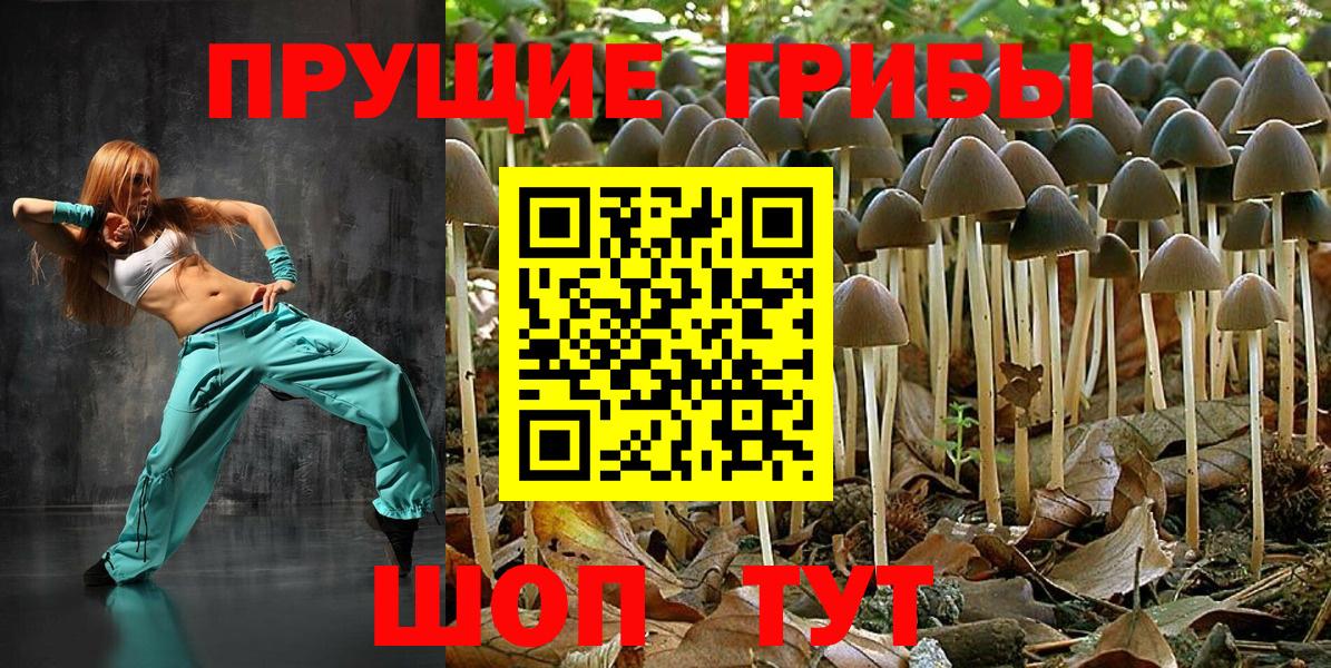 магазин продажи наркотиков  Вход с VPN  Тавда  Галлюциногенные грибы Cubensis 