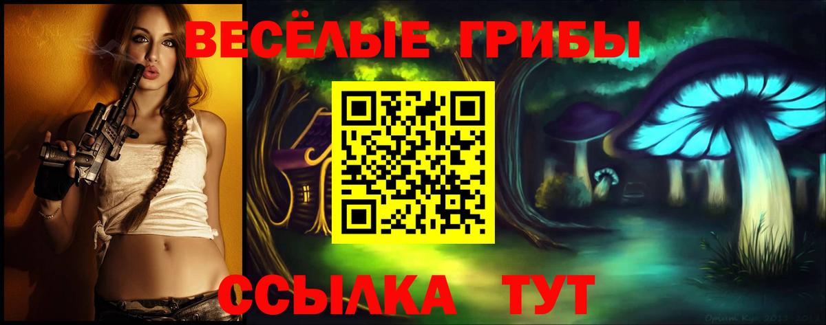 Галлюциногенные грибы Psilocybine cubensis Тавда