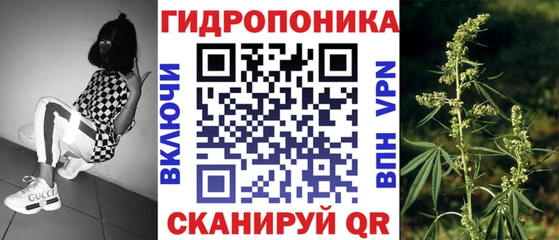 Канабис Amnesia  сколько стоит  hydra сайт  Тавда 